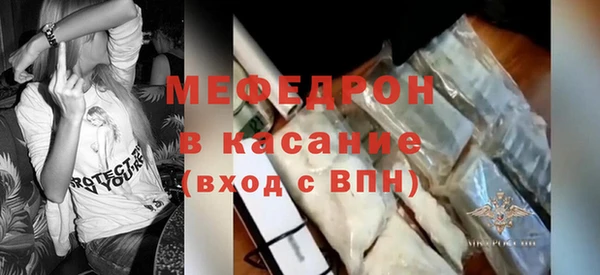 трава Ельня