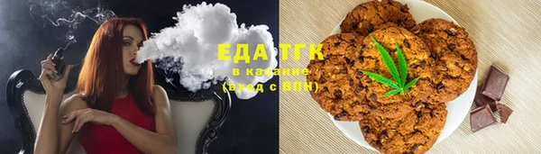 гашик Елизово