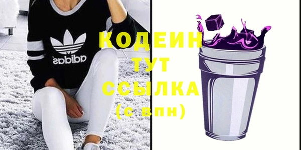 трава Ельня
