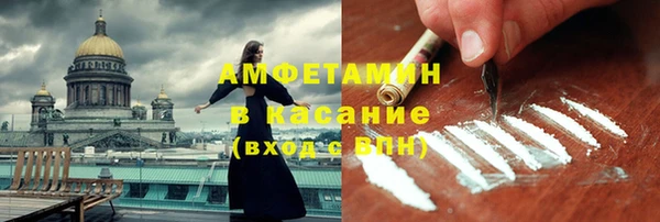 трава Ельня