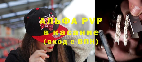 трава Ельня