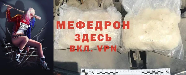 трава Ельня