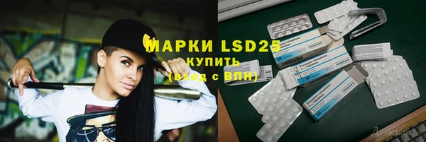 трава Ельня