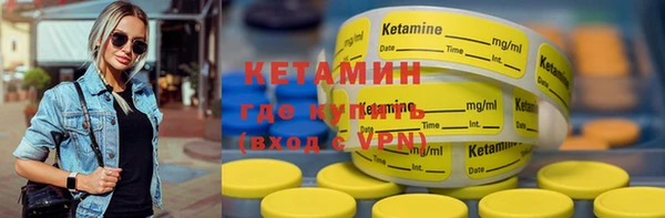 трава Ельня