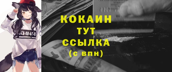 гашик Елизово