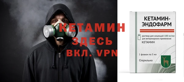 трава Ельня