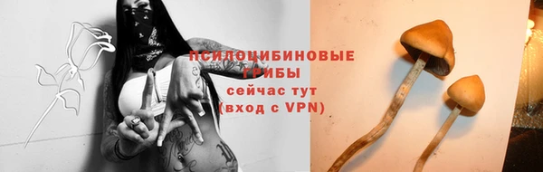 гашик Елизово
