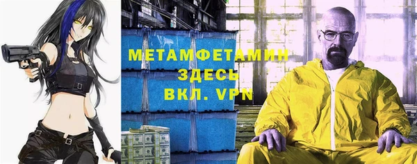 трава Ельня