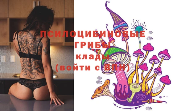 гашик Елизово