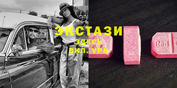 трава Ельня