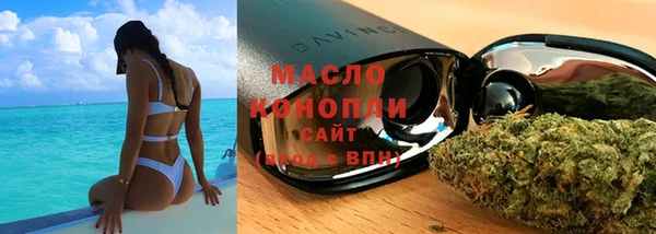 трава Ельня