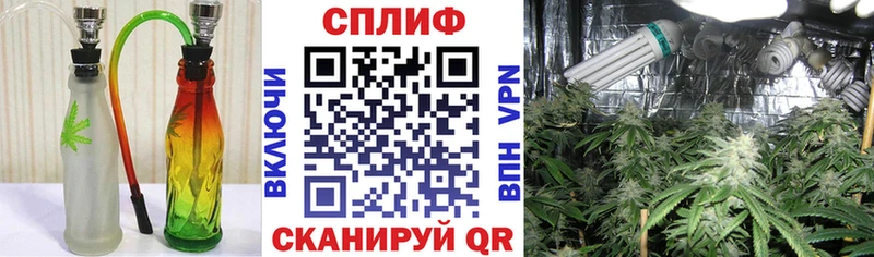 ОМГ ОМГ онион  Зверево  Шишки марихуана Amnesia 